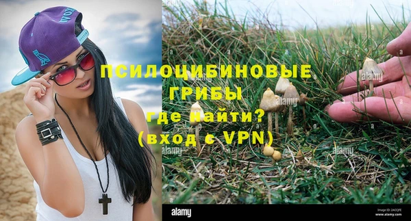 гашик Осинники