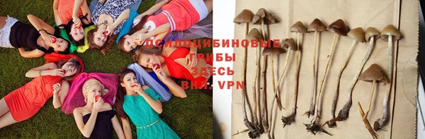 крисы Остров