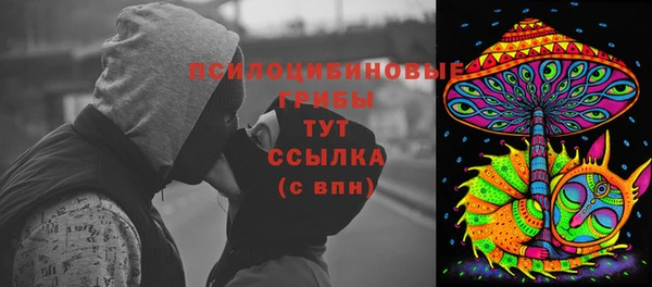 скорость Белокуриха