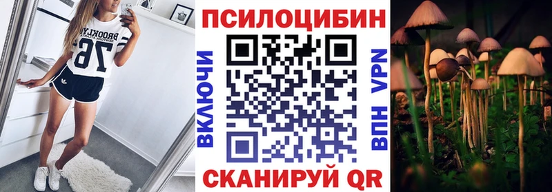 закладка  Нефтегорск  Галлюциногенные грибы Cubensis 